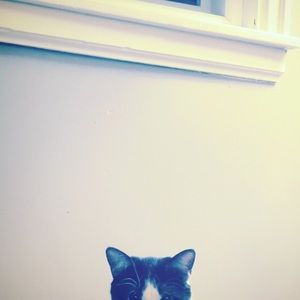 Meet your Posher, Meredith